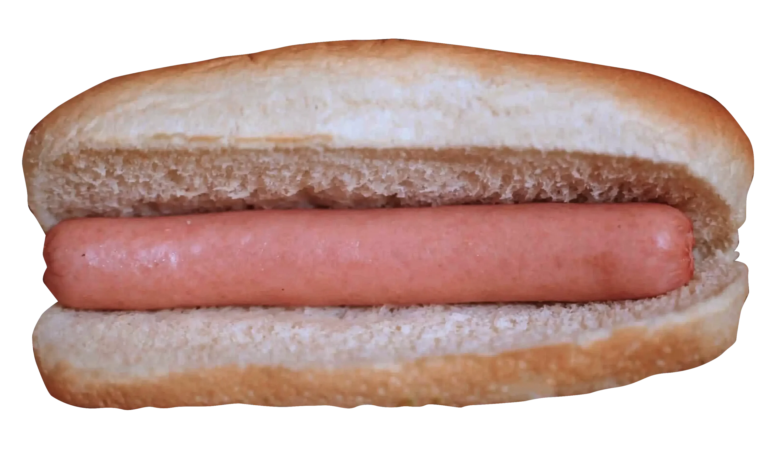 The Plaindog